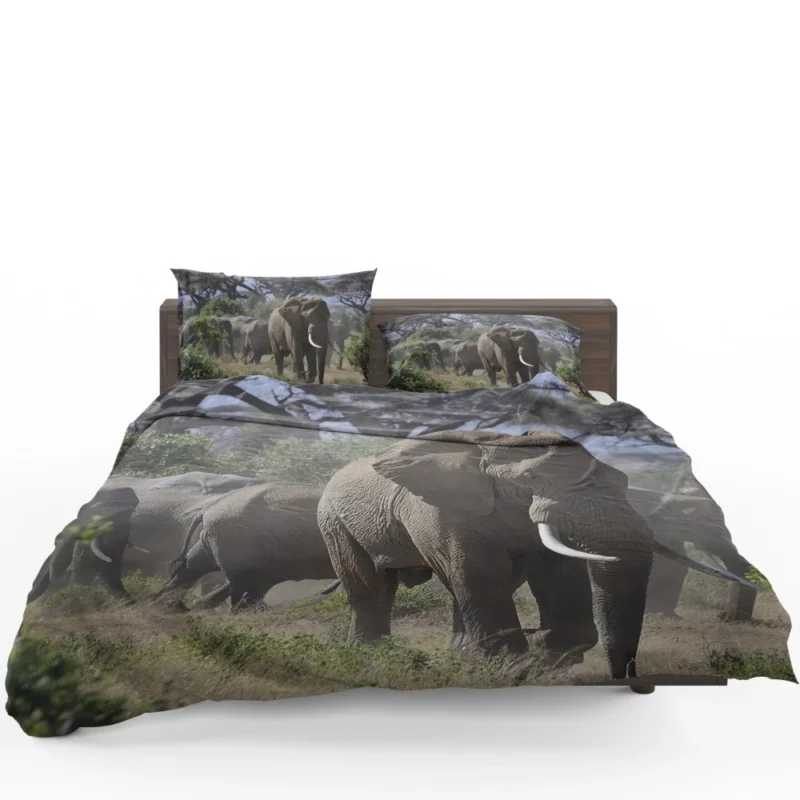 African Elephant Enigmatic Grace Bedding Set