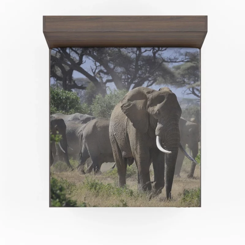 African Elephant Enigmatic Grace Fitted Sheet 1