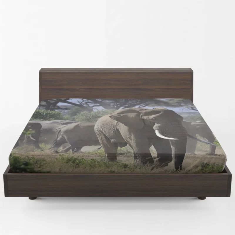 African Elephant Enigmatic Grace Fitted Sheet