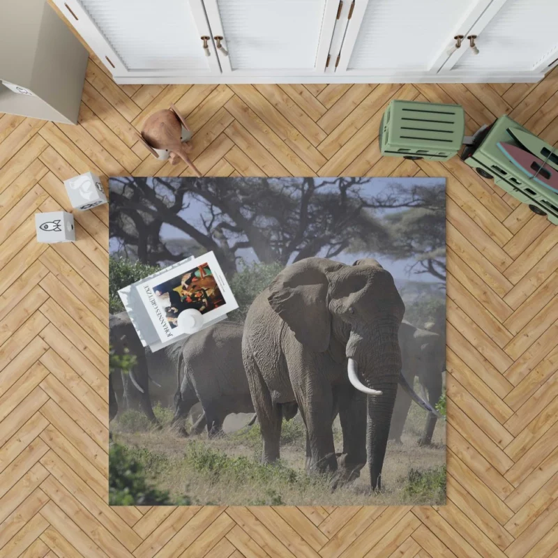 African Elephant Enigmatic Grace Rug