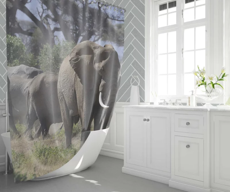 African Elephant Enigmatic Grace Shower Curtain 1