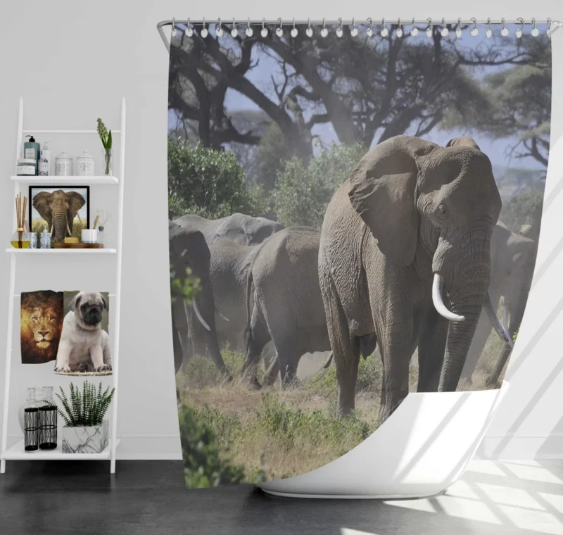 African Elephant Enigmatic Grace Shower Curtain