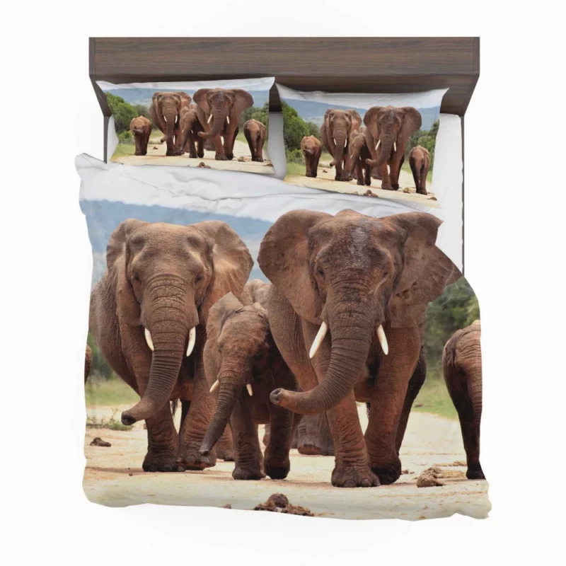 African Elephant Family Bedding Set 1