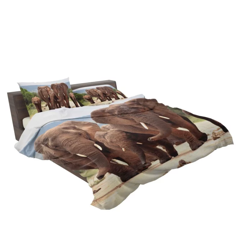 African Elephant Family Bedding Set 2