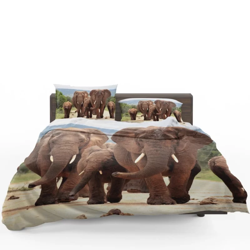 African Elephant Family Bedding Set