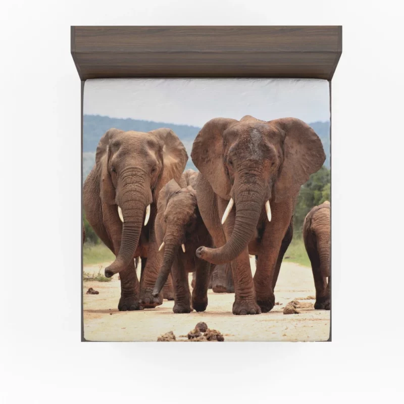 African Elephant Family Fitted Sheet 1