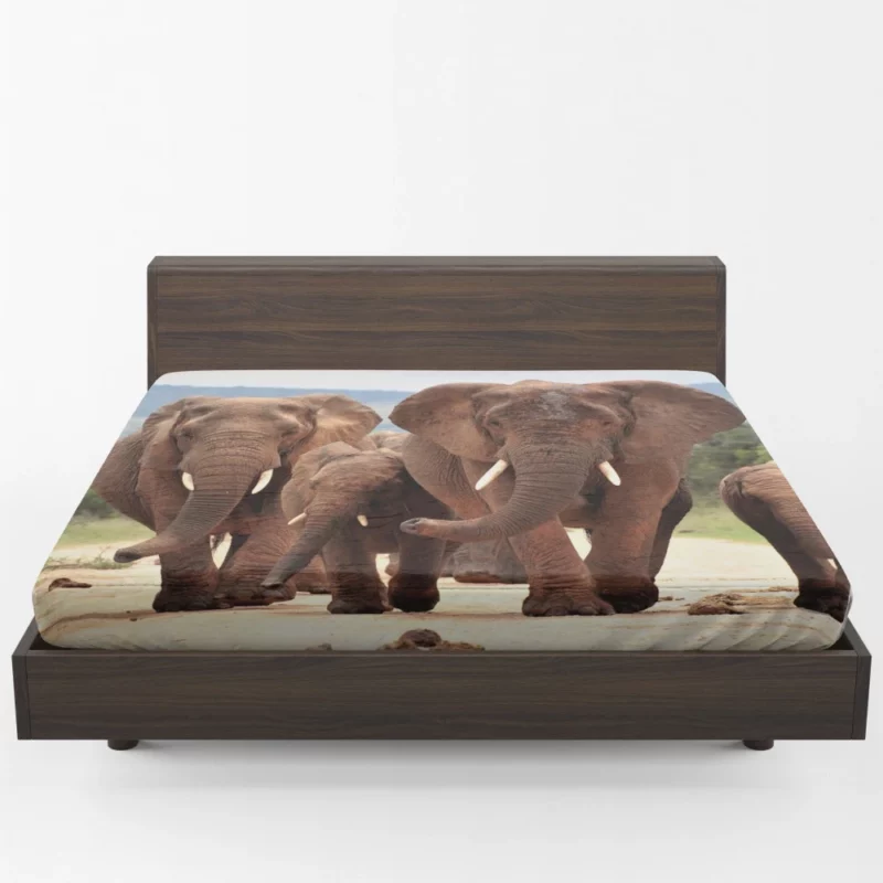 African Elephant Family Fitted Sheet