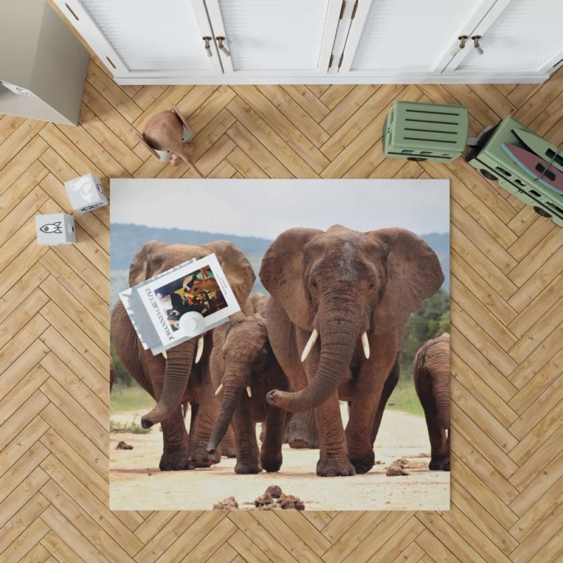 African Elephant Family Rug