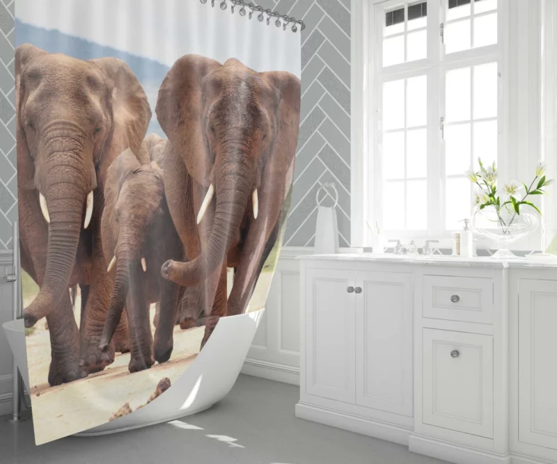 African Elephant Family Shower Curtain 1