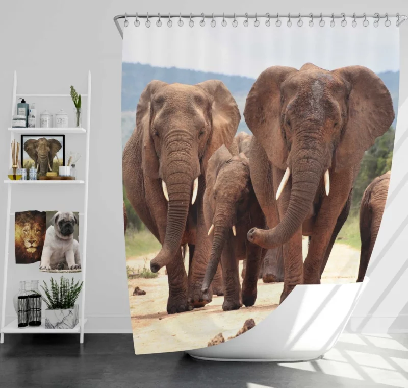 African Elephant Family Shower Curtain