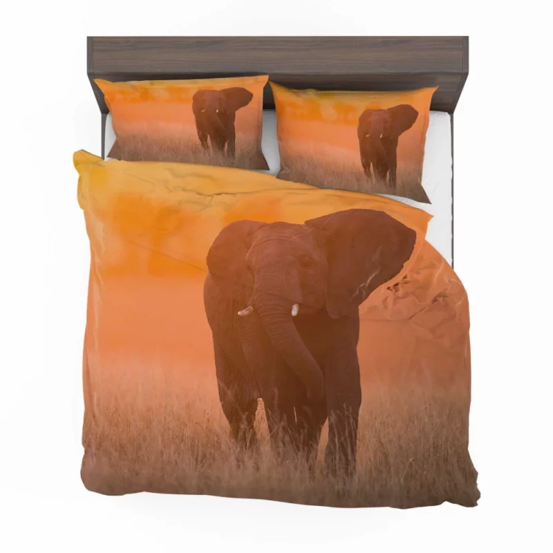 African Elephant Sunset Grace Bedding Set 1