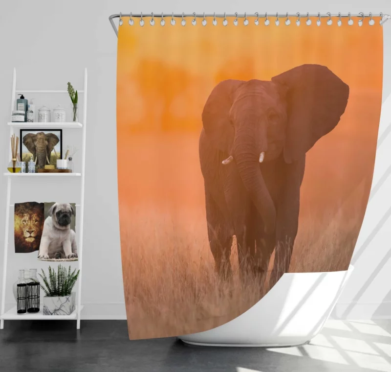 African Elephant Sunset Grace Shower Curtain