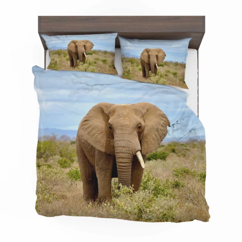 African Elephant in Bush Savanna Majesty Bedding Set 1