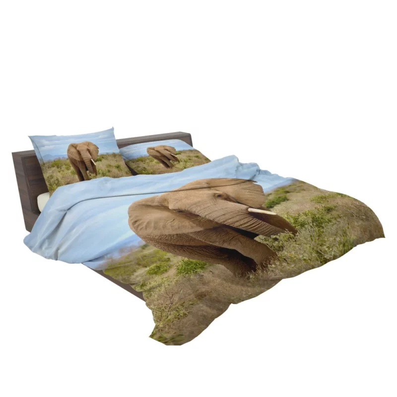 African Elephant in Bush Savanna Majesty Bedding Set 2