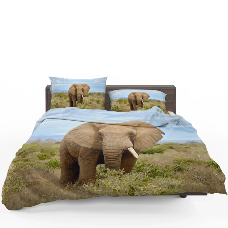 African Elephant in Bush Savanna Majesty Bedding Set