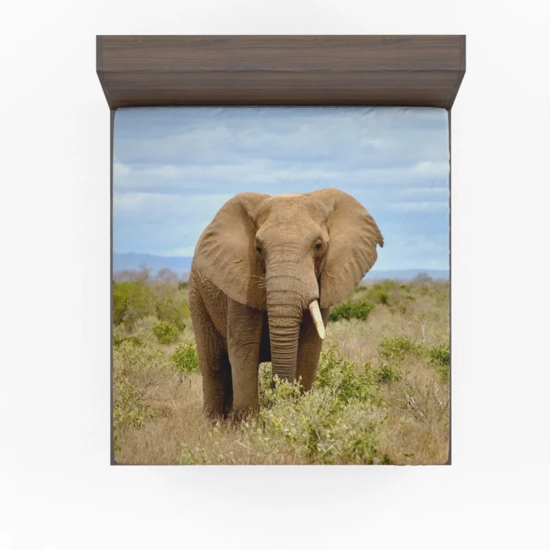 African Elephant in Bush Savanna Majesty Fitted Sheet 1