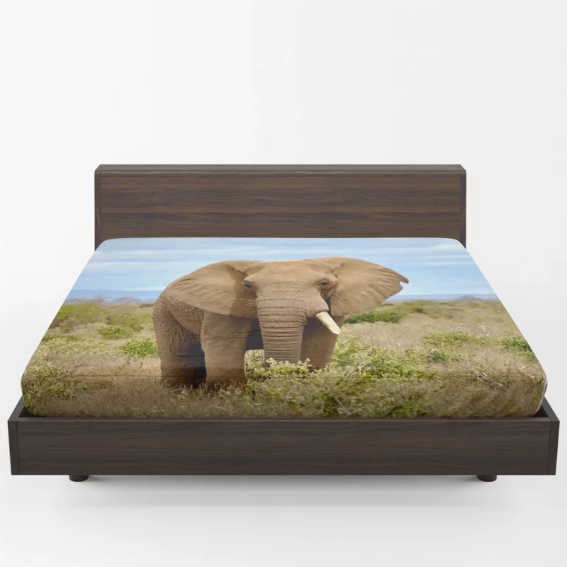 African Elephant in Bush Savanna Majesty Fitted Sheet