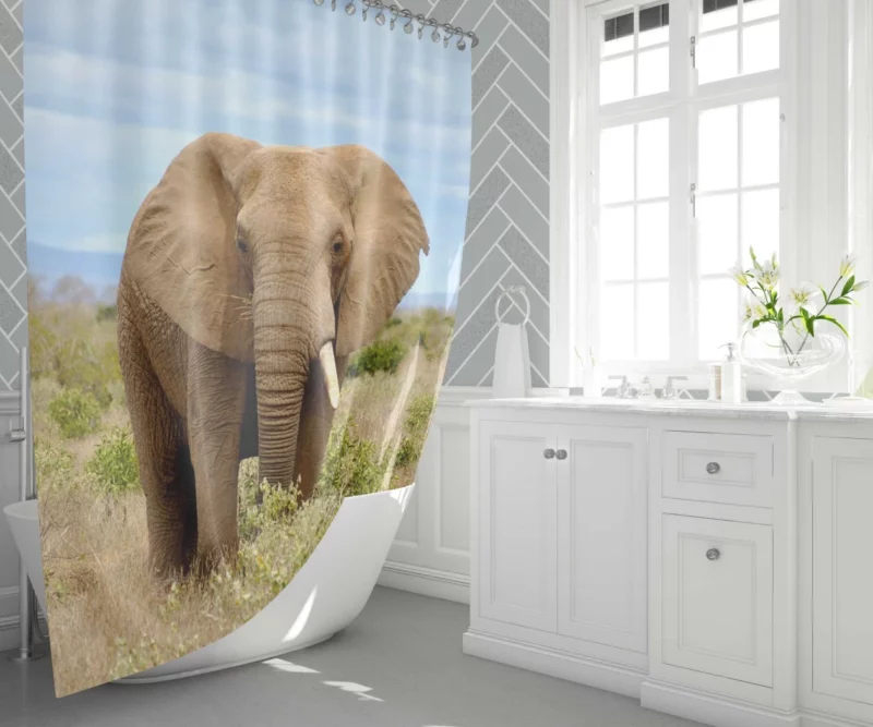 African Elephant in Bush Savanna Majesty Shower Curtain 1