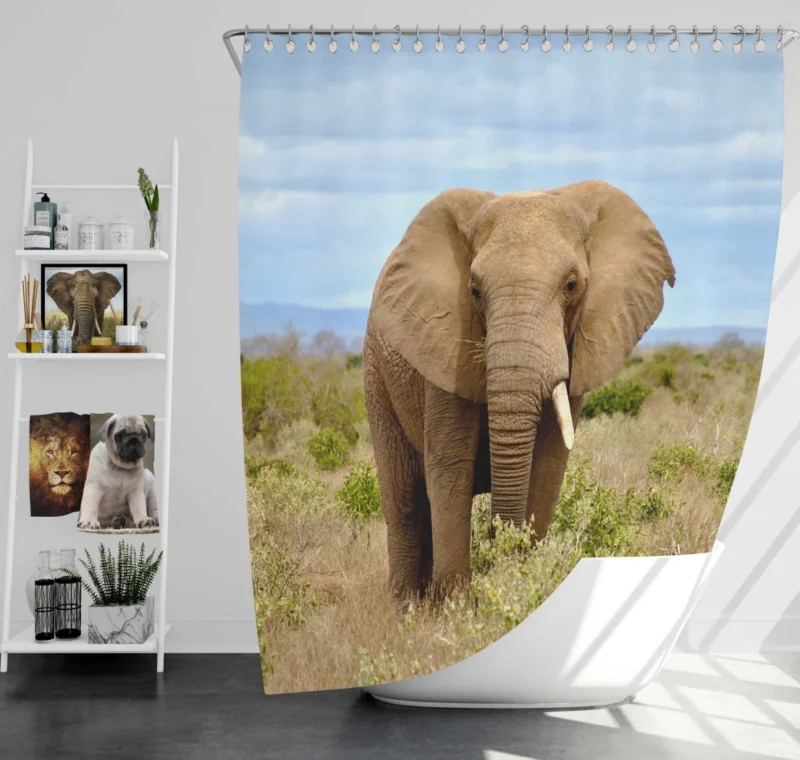 African Elephant in Bush Savanna Majesty Shower Curtain