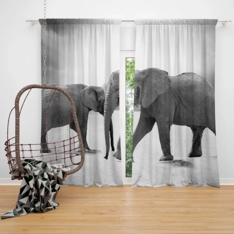 African Elephant in Monochrome Enigmatic Grace Curtain