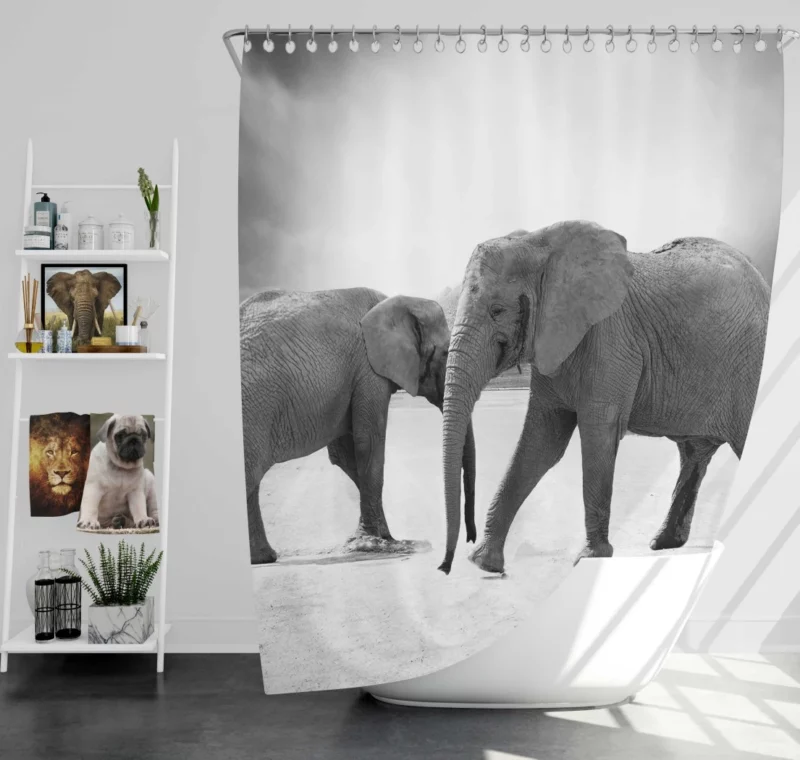 African Elephant in Monochrome Enigmatic Grace Shower Curtain