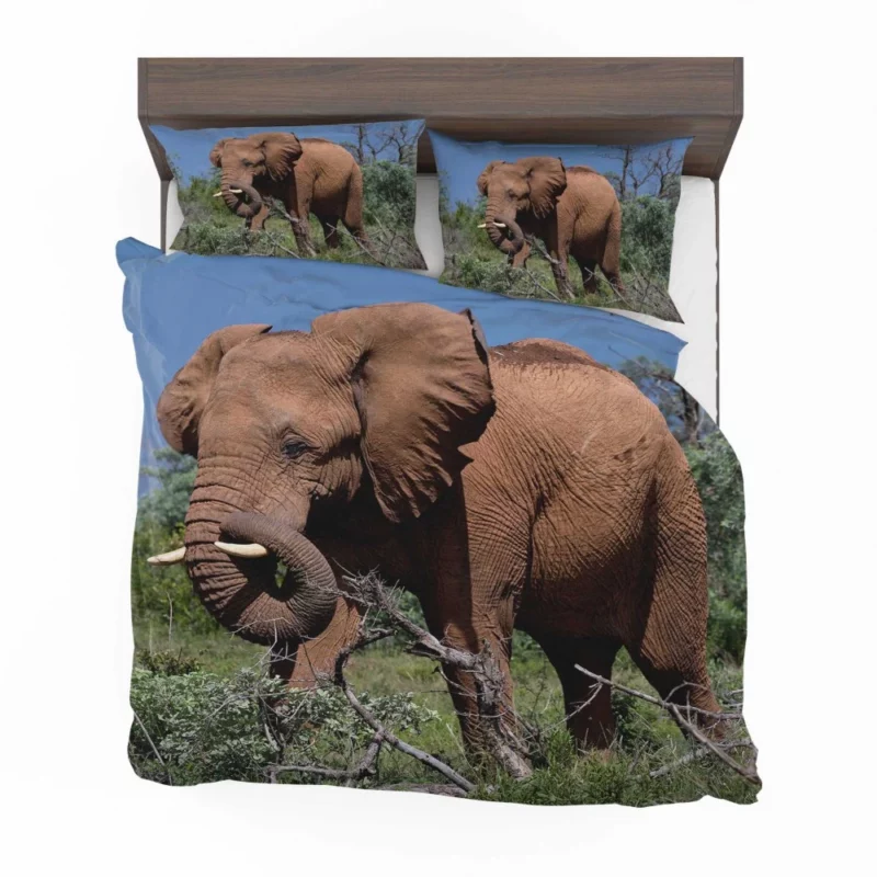 African Elephant in Natural Glory Bedding Set 1