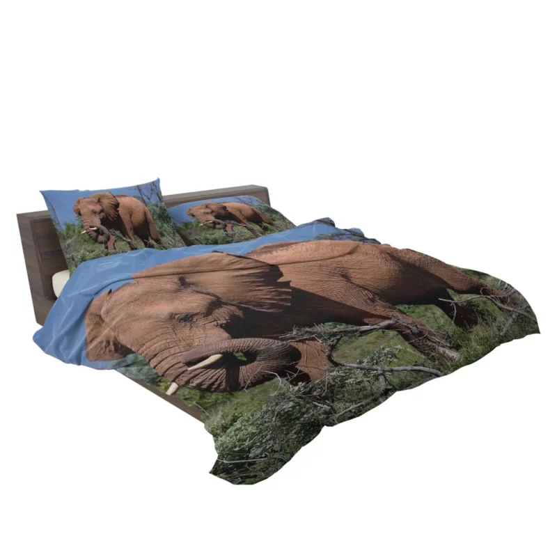 African Elephant in Natural Glory Bedding Set 2