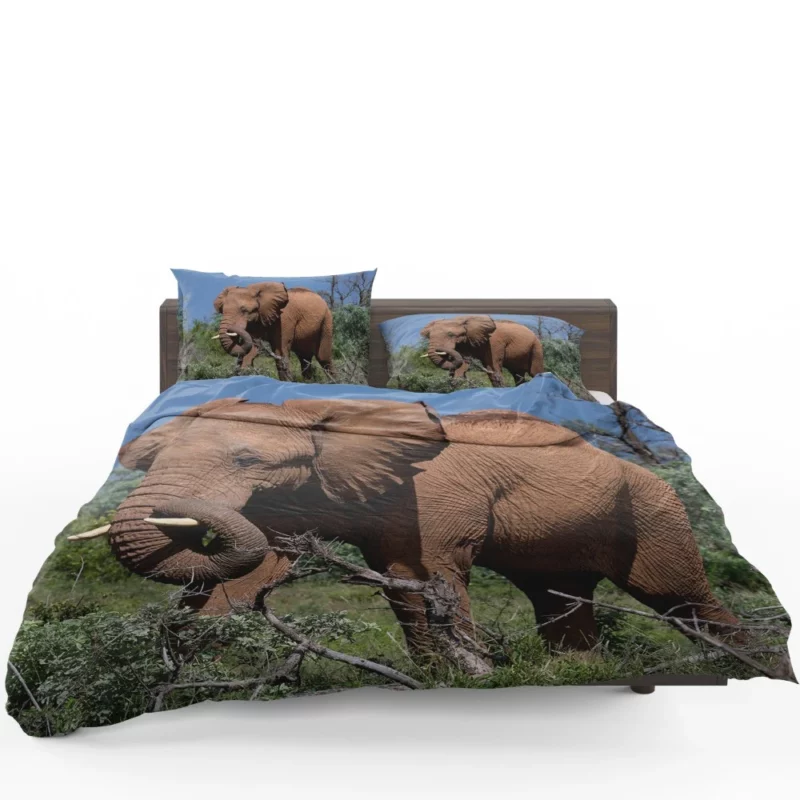 African Elephant in Natural Glory Bedding Set