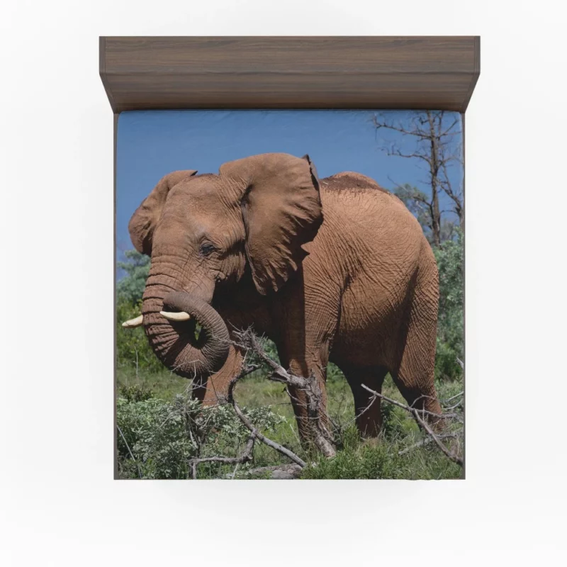 African Elephant in Natural Glory Fitted Sheet 1