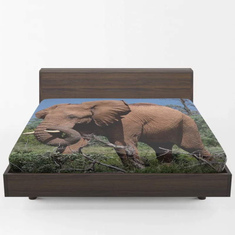 African Elephant in Natural Glory Fitted Sheet