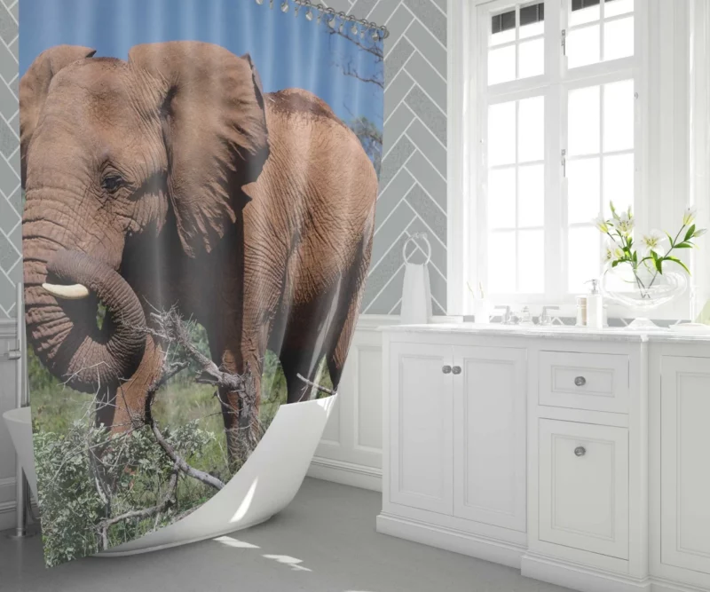 African Elephant in Natural Glory Shower Curtain 1