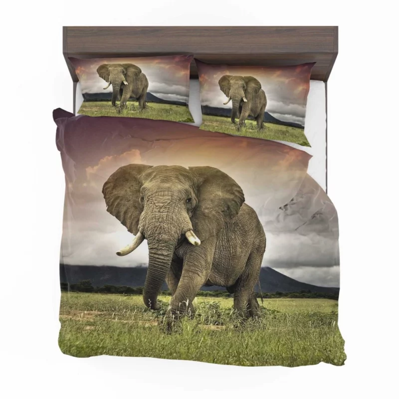 African Elephant in Savannah Majestic Wildlife Bedding Set 1