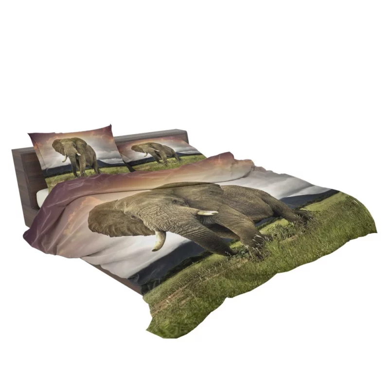 African Elephant in Savannah Majestic Wildlife Bedding Set 2