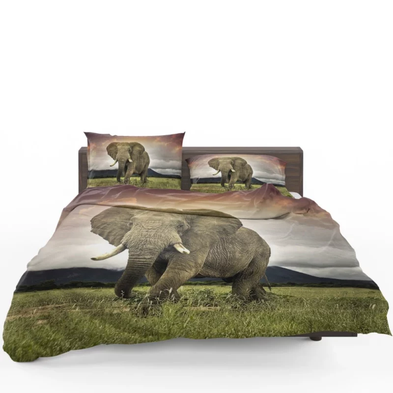 African Elephant in Savannah Majestic Wildlife Bedding Set