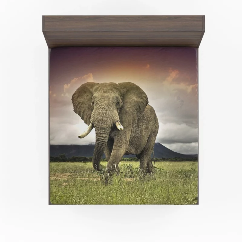 African Elephant in Savannah Majestic Wildlife Fitted Sheet 1