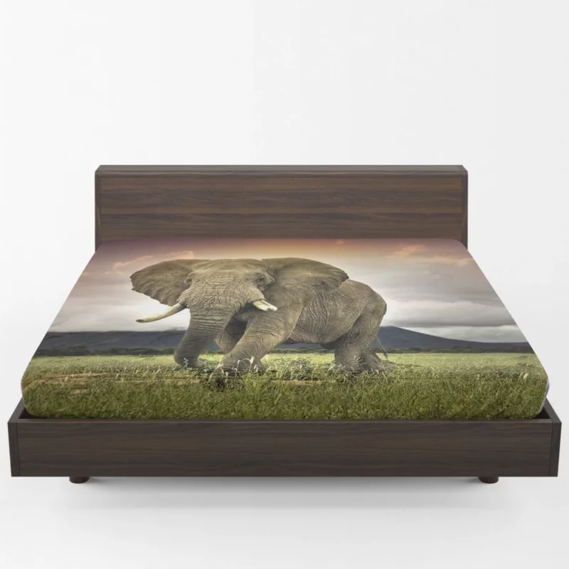 African Elephant in Savannah Majestic Wildlife Fitted Sheet