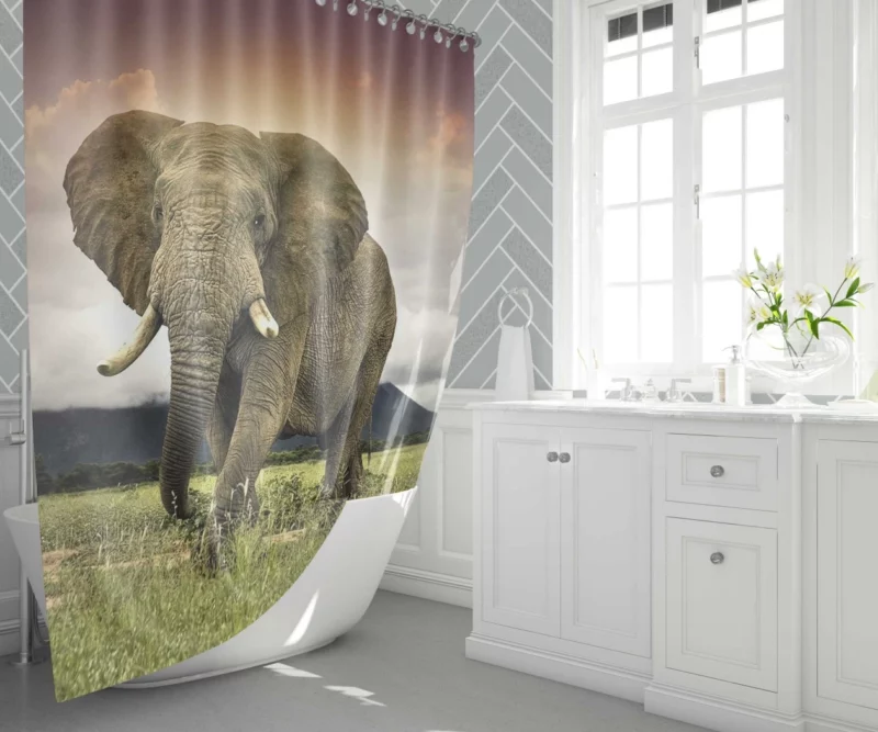 African Elephant in Savannah Majestic Wildlife Shower Curtain 1