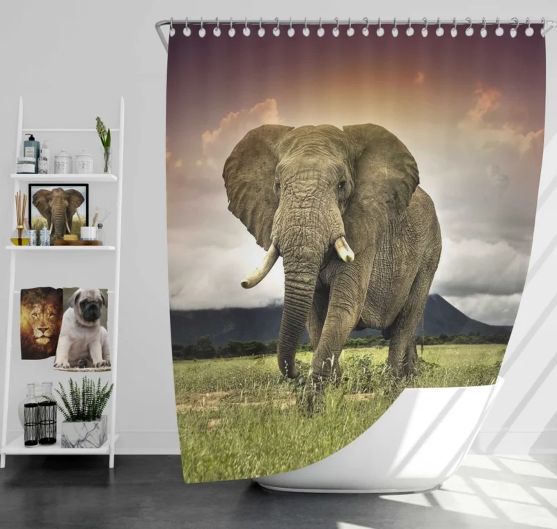 African Elephant in Savannah Majestic Wildlife Shower Curtain