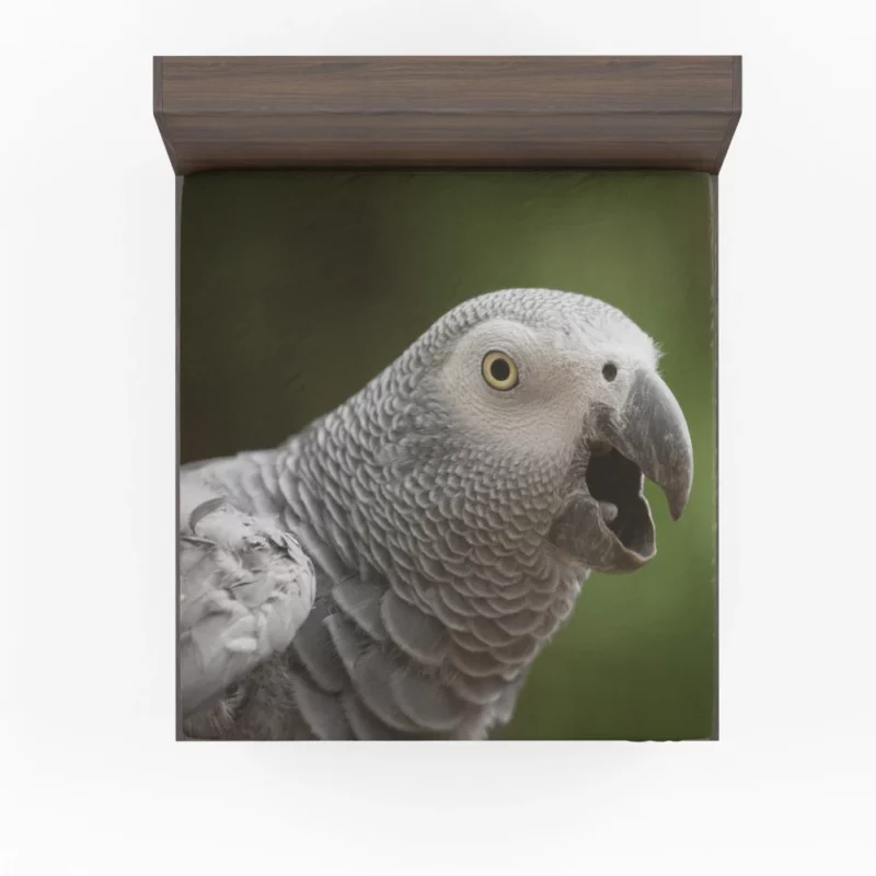 African Grey Parrot Clever Companion Feathered Friend Fitted Sheet 1