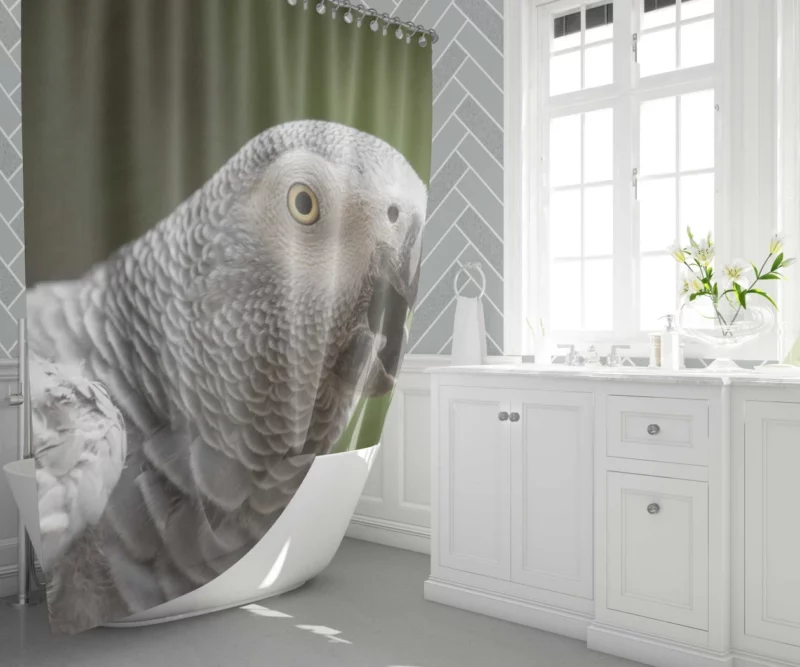 African Grey Parrot Clever Companion Feathered Friend Shower Curtain 1