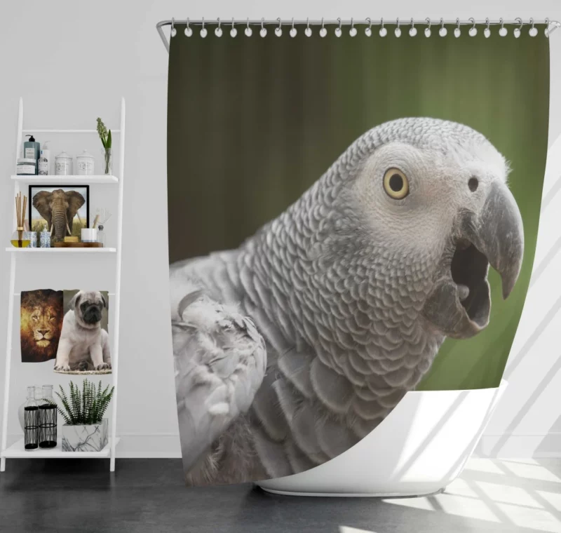 African Grey Parrot Clever Companion Feathered Friend Shower Curtain