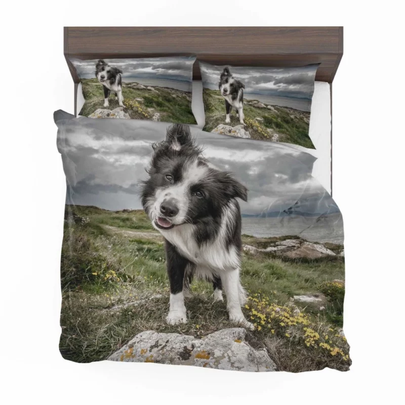 Agile Border Collie Energetic Spirit Bedding Set 1