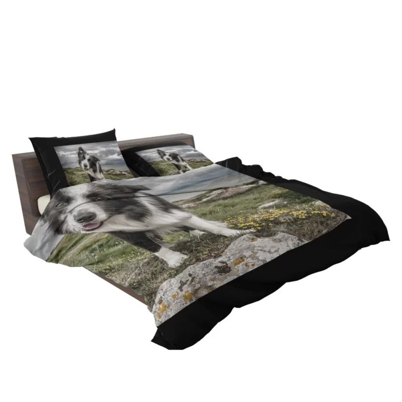 Agile Border Collie Energetic Spirit Bedding Set 2