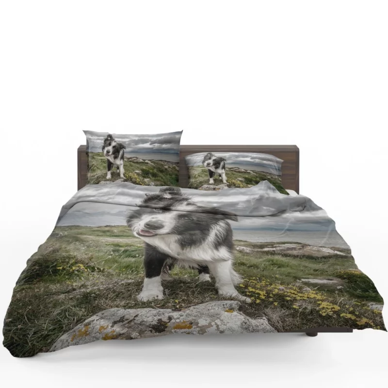 Agile Border Collie Energetic Spirit Bedding Set