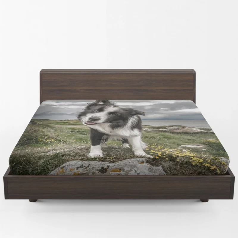 Agile Border Collie Energetic Spirit Fitted Sheet