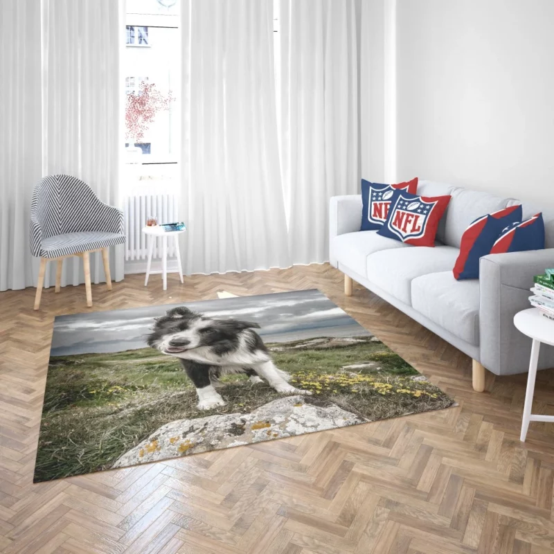 Agile Border Collie Energetic Spirit Rug 2