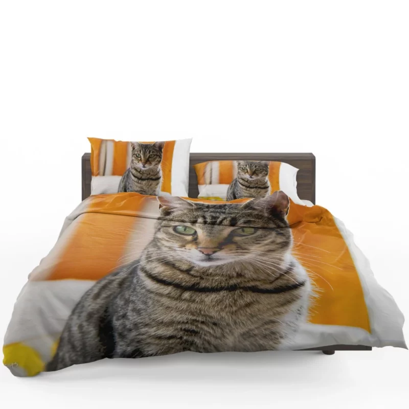 Ailing Kitty Worry in Whiskers Bedding Set