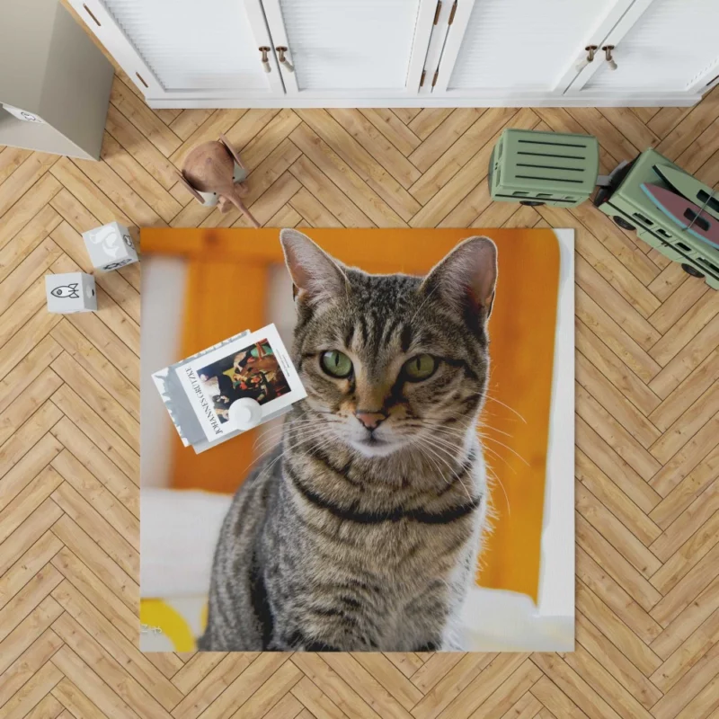 Ailing Kitty Worry in Whiskers Rug