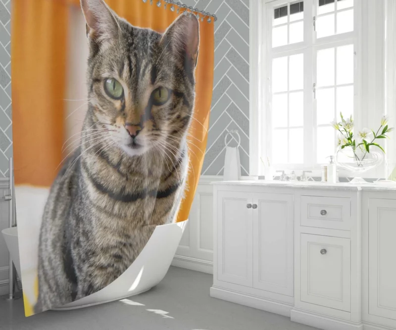 Ailing Kitty Worry in Whiskers Shower Curtain 1