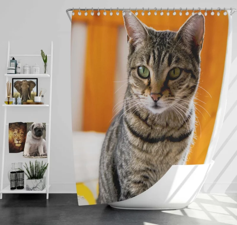 Ailing Kitty Worry in Whiskers Shower Curtain